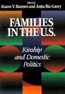 Image of families in the u s kinship and domestic politics