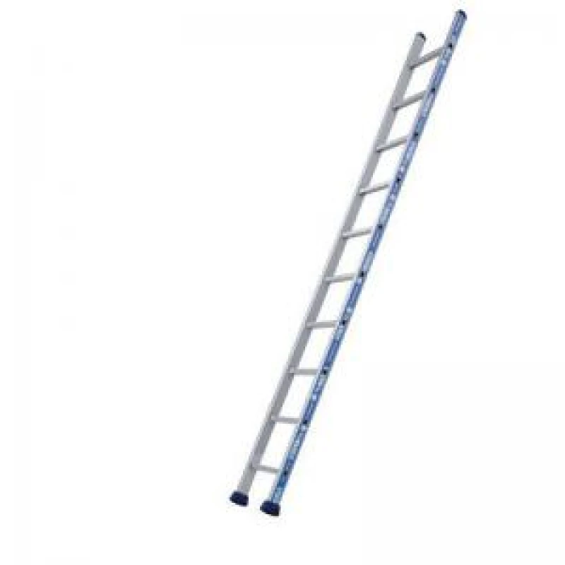 Image of Single Section Platinum Ladders - 2.97m - 10 Rungs
