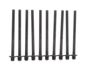 Image of RIDEX Cylinder Head Bolt Kit Male Torx 1217B0131 Bolt Kit, cylinder head RENAULT,NISSAN,DACIA,TWINGO I (C06_),CLIO II (BB0/1/2_, CB0/1/2_)