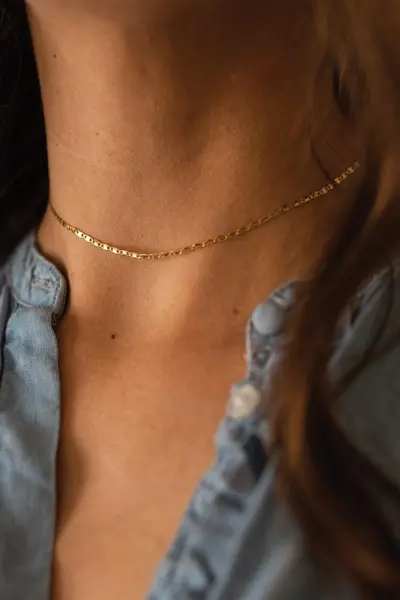 Image of Elk & Bloom Dainty 14K Gold Chain Choker Gold