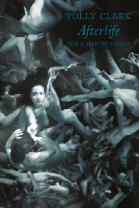 Image of Afterlife : New & Selected Poems Paperback / softback
