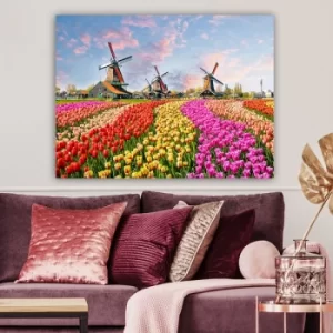 Image of 490194529_70100 Multicolor Decorative Canvas Painting