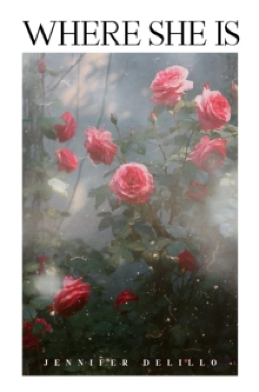 Image of WHERE SHE IS Paperback / softback