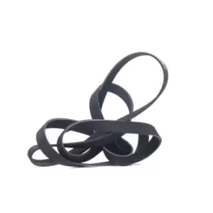 Image of RIDEX V-ribbed belt FORD,VOLVO,MITSUBISHI 305P0469 1099892,1129181,YC1E6C301CB