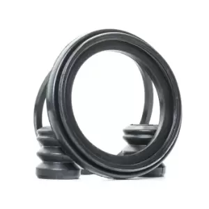 Image of RIDEX Brake Caliper Repair Kit VW,MERCEDES-BENZ,RENAULT 405R0082 0004200044,0014202383,A0004200044 7701202048,251698471A