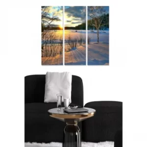 Image of MDF3879676 Multicolor Decorative MDF Painting (3 Pieces)