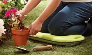 Image of Garden Gear Memory Foam Kneeler