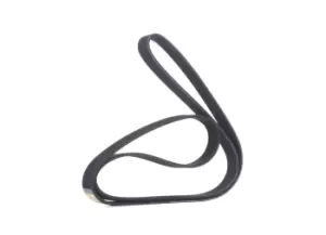 Image of RIDEX V-ribbed belt VW,BMW,OPEL 305P0175 11287832327,11287837898,1308228 Serpentine belt,Auxiliary belt,Poly V-belt,Ribbed belt,Multi V-belt,Poly belt