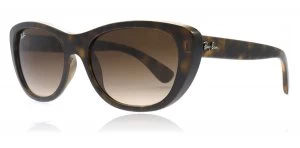 Image of Ray-Ban RB4227 Sunglasses Tortoise 710/13 55mm