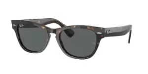 Image of Ray-Ban Sunglasses RB2201 Laramie 902/B1