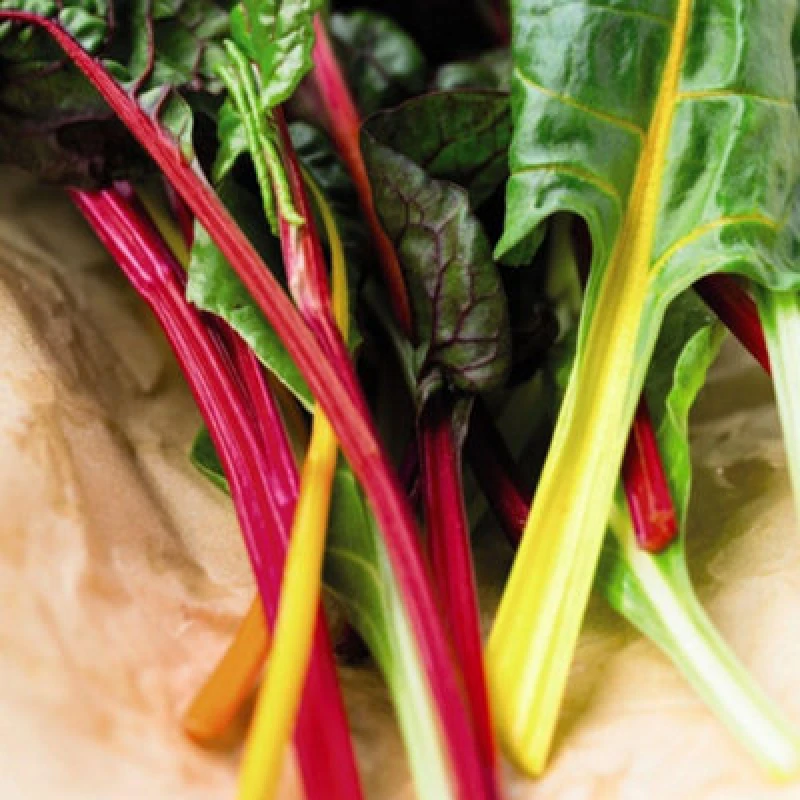 Image of Thompson & Morgan Swiss Chard Beet Bright Lights Rubbed F1 Hybrid 1 Seed Packet