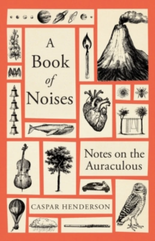 Image of A Book of Noises : Notes on the Auraculous Hardback