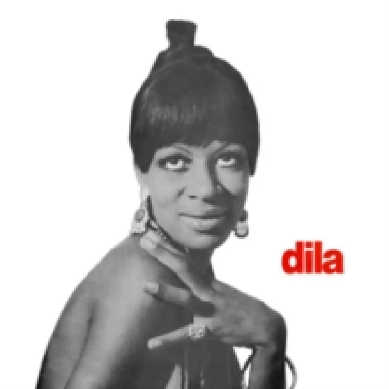Image of Dila Vinyl