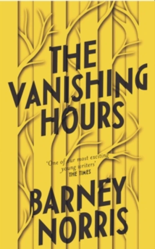 Image of The Vanishing Hours Hardback