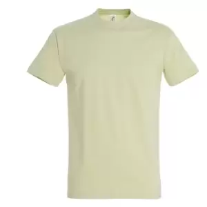 Image of SOLS Mens Imperial Heavyweight Short Sleeve T-Shirt (XL) (Green Sage)