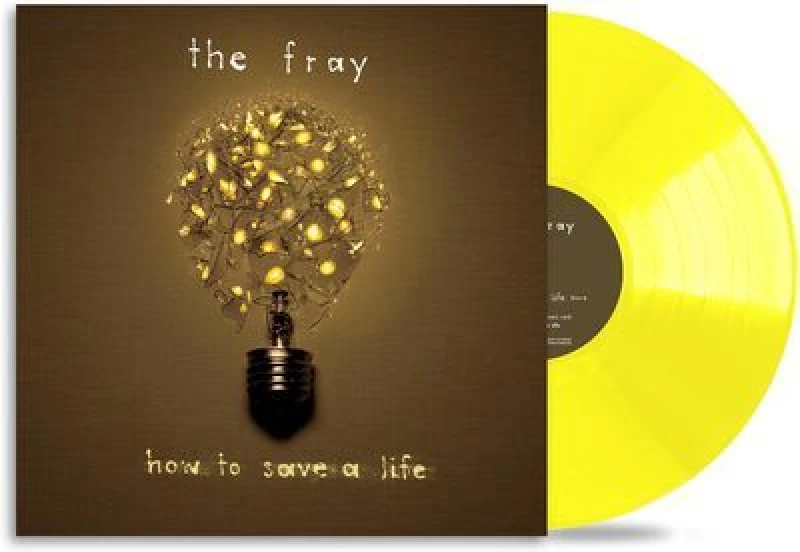 Image of How to Save a Life Vinyl