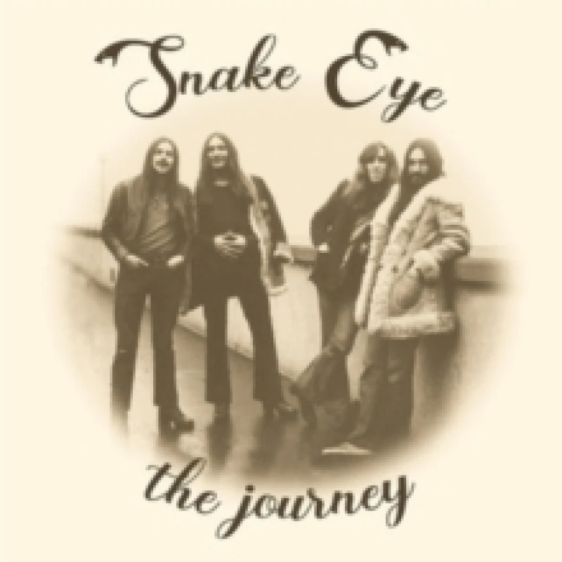 Image of The Journey Vinyl