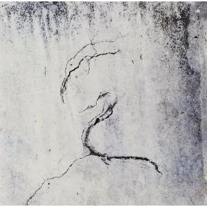 Image of Lunatic Soul - Impressions Vinyl