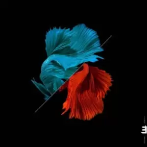 Image of Tetra Tonadas by Julian Arguelles CD Album