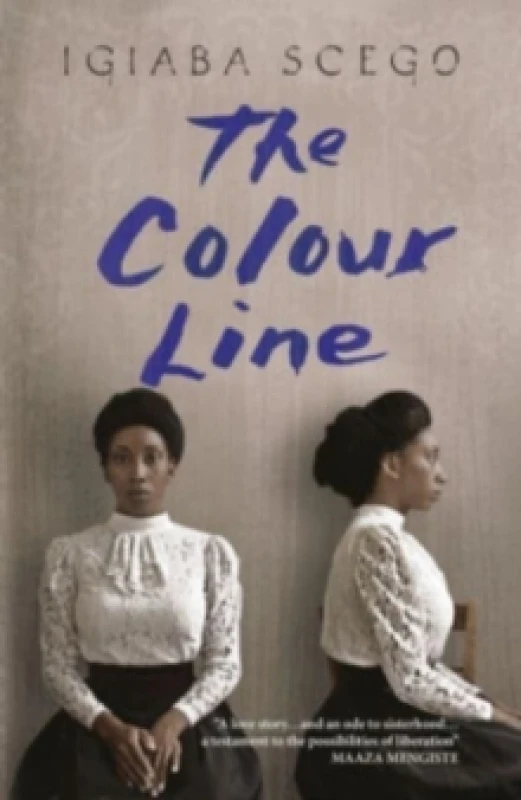 Image of The Colour Line Paperback / softback