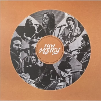 Image of Drugdealer - Raw Honey Vinyl