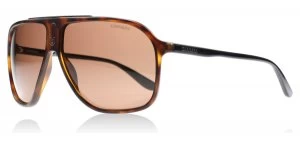 Image of Carrera 6016/S Sunglasses Tortoise N628U 62mm
