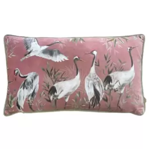 Image of Orient Cranes Cushion Blush, Blush / 30 x 50cm / Polyester Filled