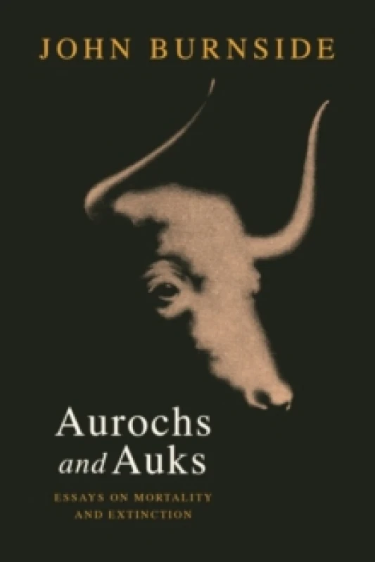 Image of Aurochs and Auks : Essays on mortality and extinction Hardback