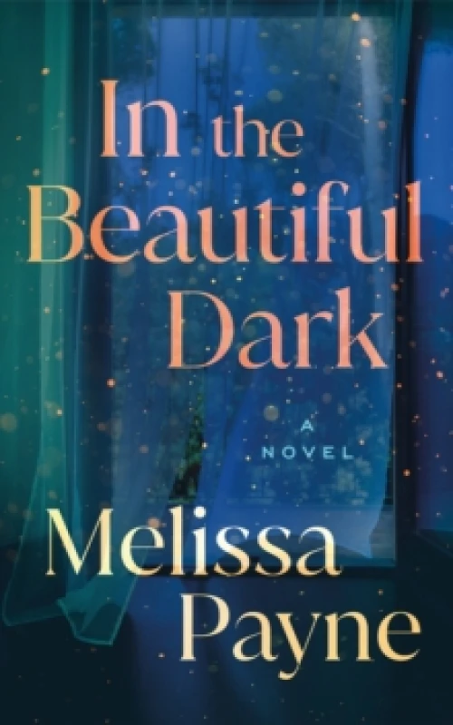 Image of In the Beautiful Dark : A Novel Paperback / softback