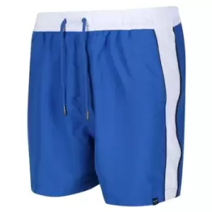 Image of Regatta Amias Swim Short - Blue