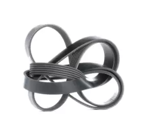 Image of Bosch V-ribbed belt 1 987 946 005 Serpentine belt,Auxiliary belt AUDI,FORD,TOYOTA,A8 (4E2, 4E8),Fiesta Mk4 Schragheck (JAS, JBS),KA (RB_)