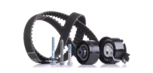 Image of INA Timing belt kit PEUGEOT,CITROEN 530 0379 10 0816E0,0816H6,0829A0 0829A1,0829C8,0829F6,083062,0831L2,0831L3,0831R9,1643637980,9637914380,9639842180