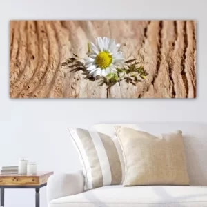 Image of YTYDR74736_50120 Multicolor Decorative Canvas Painting