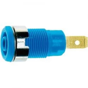Image of Safety jack socket Socket vertical vertical Pin diameter 4mm Blue