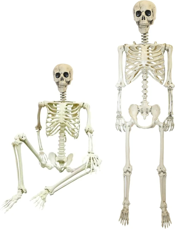 Image of Shatchi Halloween Decoration Life Size Poseable Skeleton 165cm - Realistic Human Skeleton Prop with Movable Joints in White White Unisex