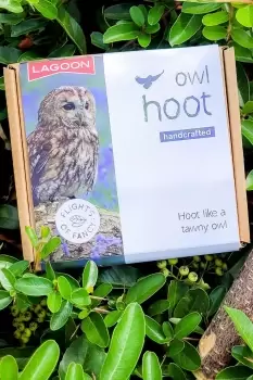 Image of Owl Hoot