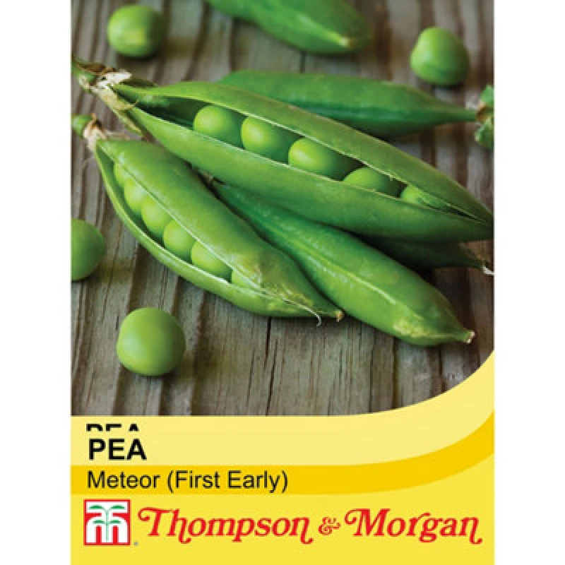 Image of Thompson & Morgan Pea Meteor 1 Seed Packet (250 Seeds)