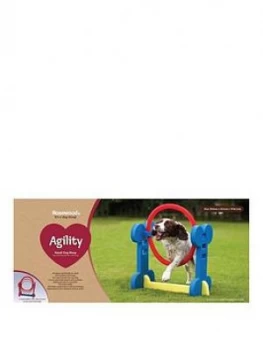 Image of Rosewood Agility Hoop Outdoor Pet Activity