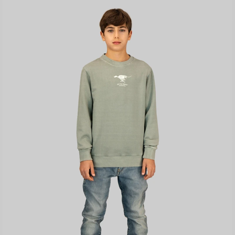 Image of G Star Kids Logo Cotton Crew Sweatshirt Mercury male 8Y
