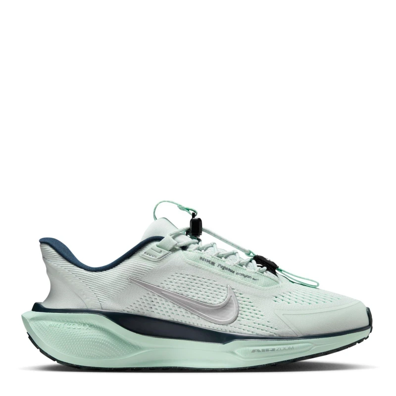 Image of Nike Pegasus EasyOn Road Running Shoes Womens Ghost Aqua/Silv female 4 (37.5)