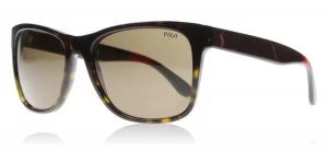 Image of Polo Ralph Lauren PH4106 Sunglasses Shiny Black / Brown 556873 57mm