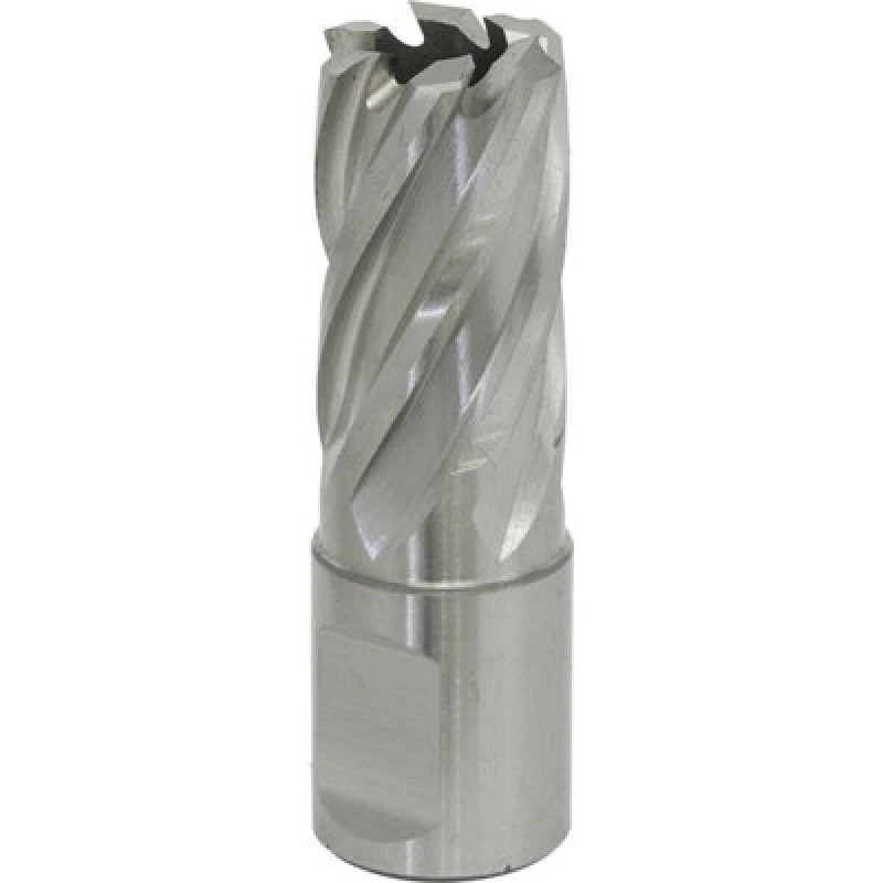 Image of Loops 17mm x 25mm Depth Rotabor Cutter - M2 Steel Annular Metal Core Drill 19mm Shank Metallics