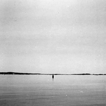 Image of Federsen - Rose Bay Vinyl