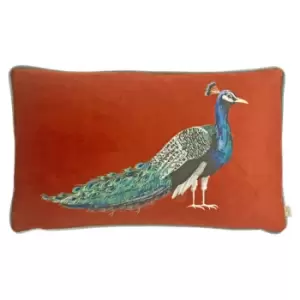 Image of Evans Lichfield Peacock Cushion Cover (One Size) (Sunset)