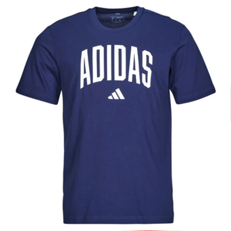Image of adidas Collegiate Lineage Graphic T-Shirt mens T shirt in Blue