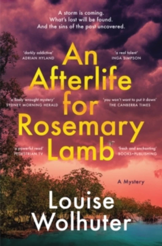 Image of An Afterlife for Rosemary Lamb Hardback