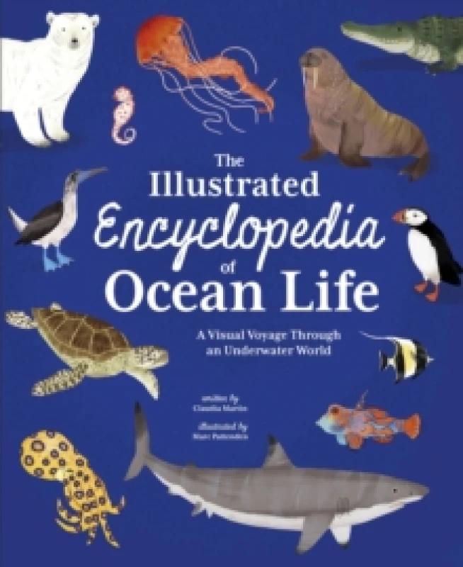 Image of The Illustrated Encyclopedia of Ocean Life : A Visual Voyage Through an Underwater World Hardback