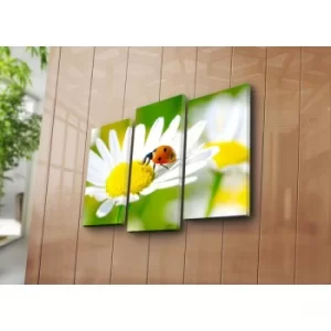 Image of 3PATK-77 Multicolor Decorative Canvas Painting (3 Pieces)