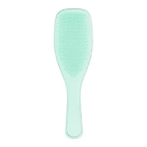 Image of Tangle Teezer The Wet Detangler Fine and Fragile Jade Lagoon