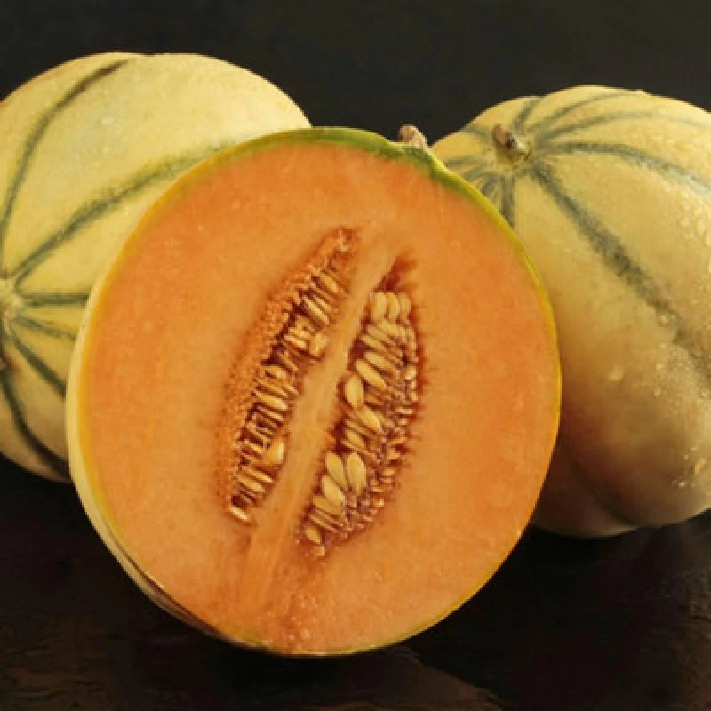 Image of Thompson & Morgan Melon Alvaro F1 Hybrid 1 Seed Packet
